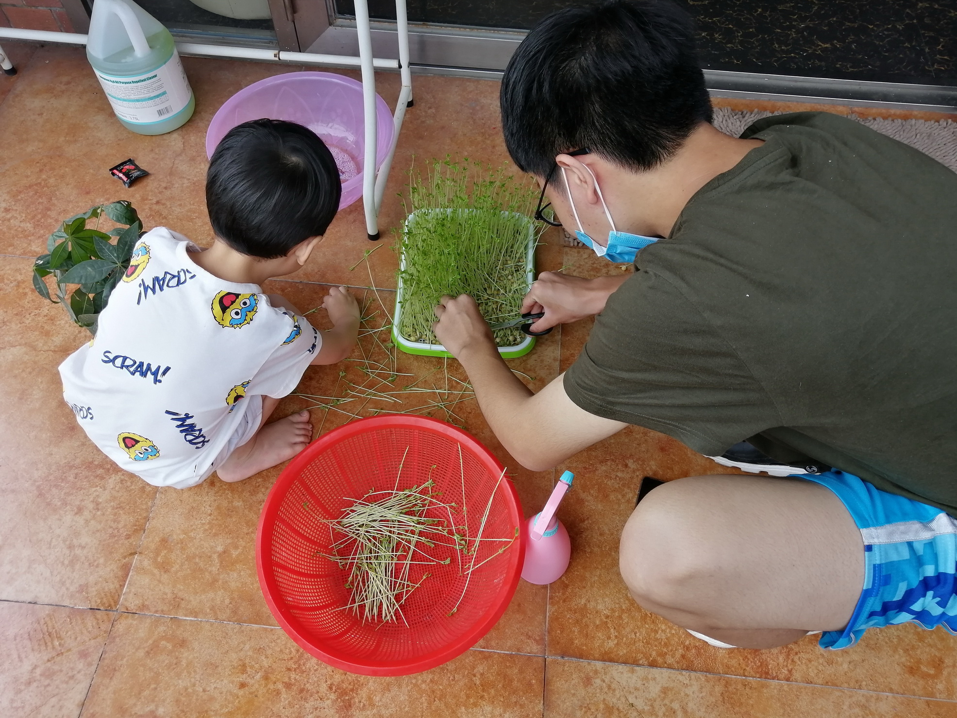 播种绿色，收获绚烂